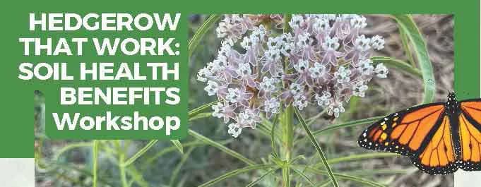 Hedgerow That Work: Soil Health Benefits Workshop flyer
