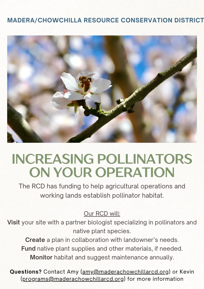 Increasing Pollinators on Your Operation flyer