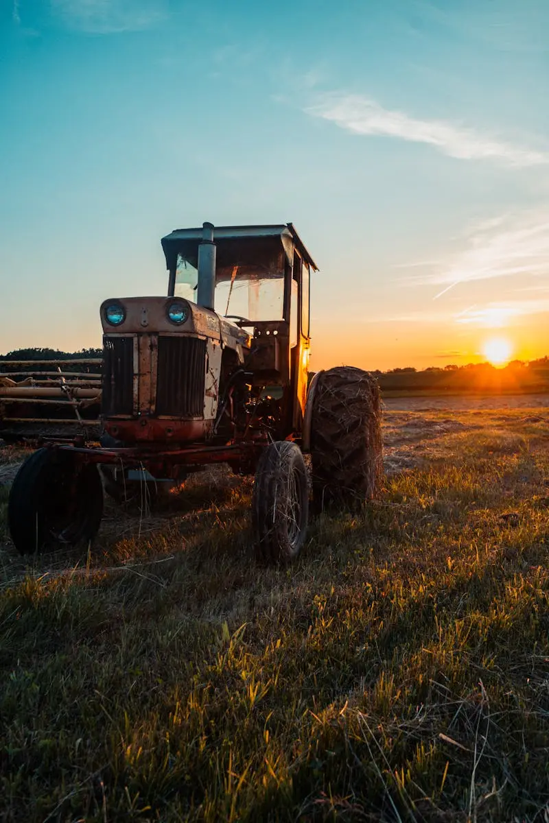 Land repurposing and habitat restoration