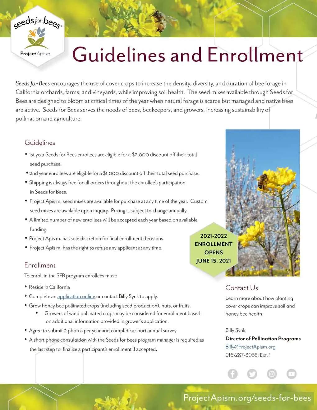 Seeds for Bees planting guidelines - establishing bee-friendly habitats