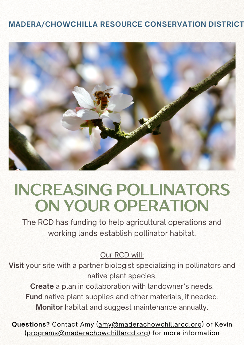 INCREASING POLLINATORS ON YOUR OPERATION